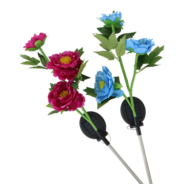 solar chrysanthemum 70cm